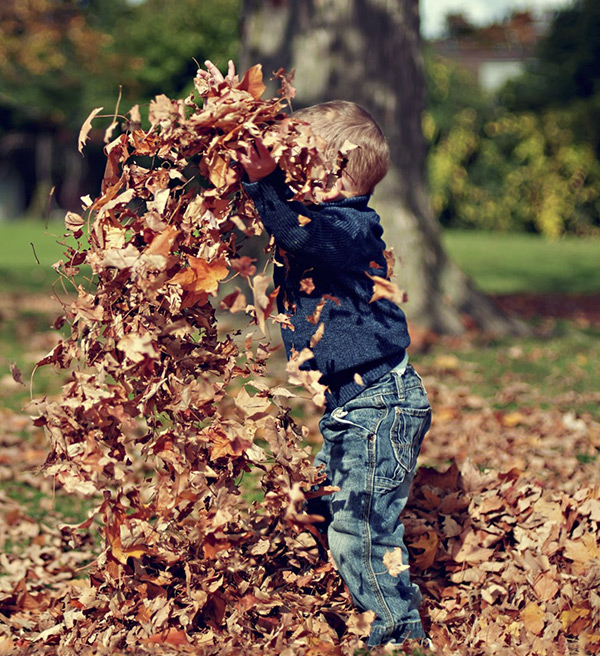 Child throwing leaves around